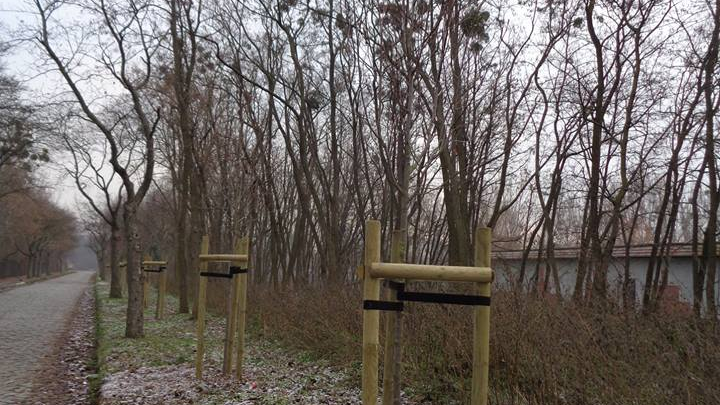 Fot. Społeczny Opiekun Zabytków