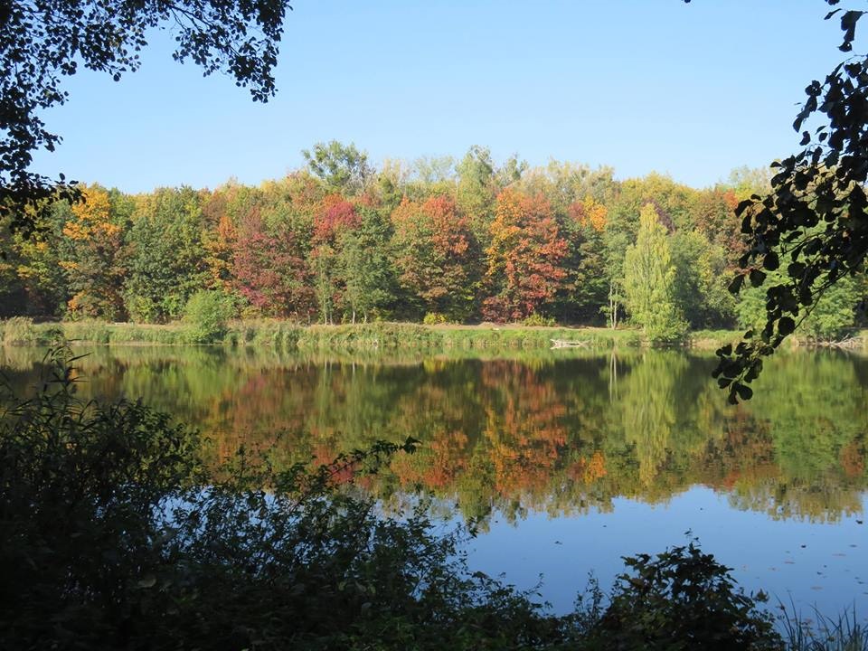 Fot. Stowarzyszenie Metropolia Poznań - grafika artykułu
