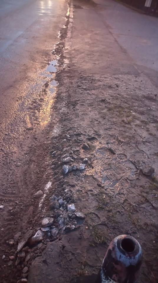 Fot. Straż Miejska Miasta Poznania - grafika artykułu