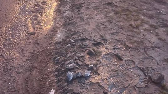 Fot. Straż Miejska Miasta Poznania