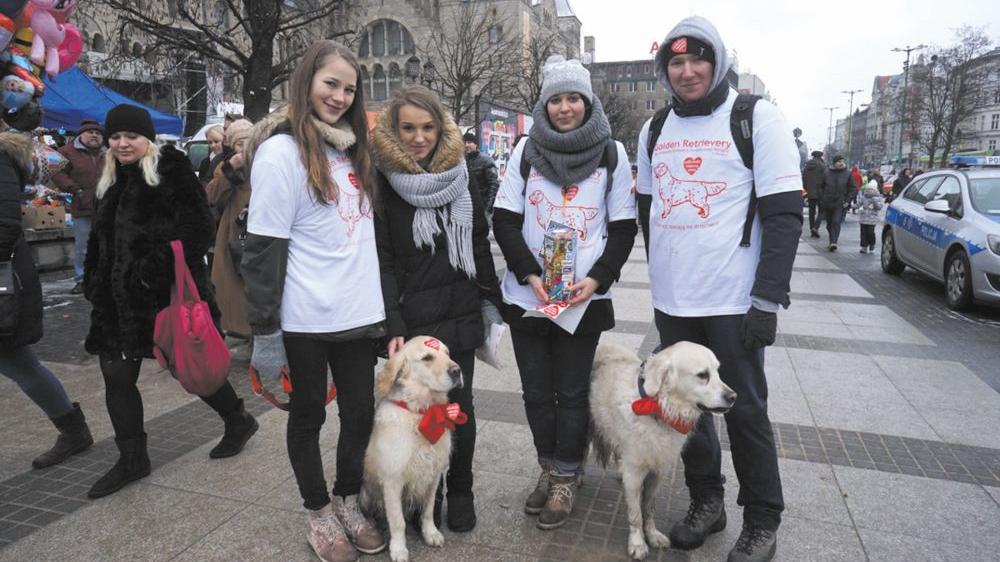 Fot. W. Wylegalski - grafika artykułu