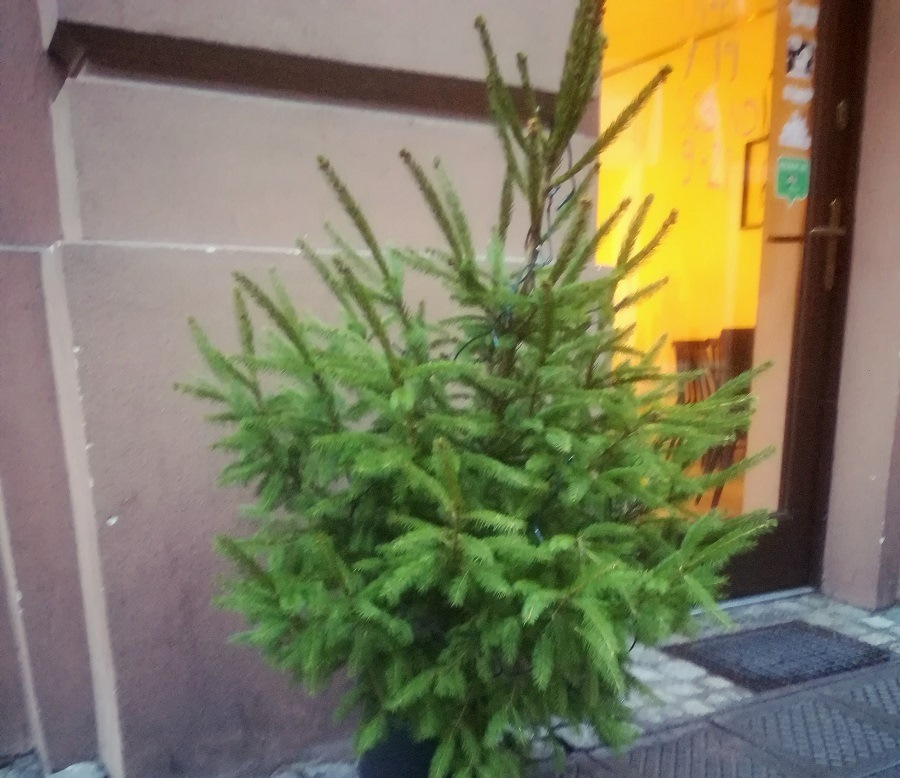 fot. Poznan.pl - grafika artykułu