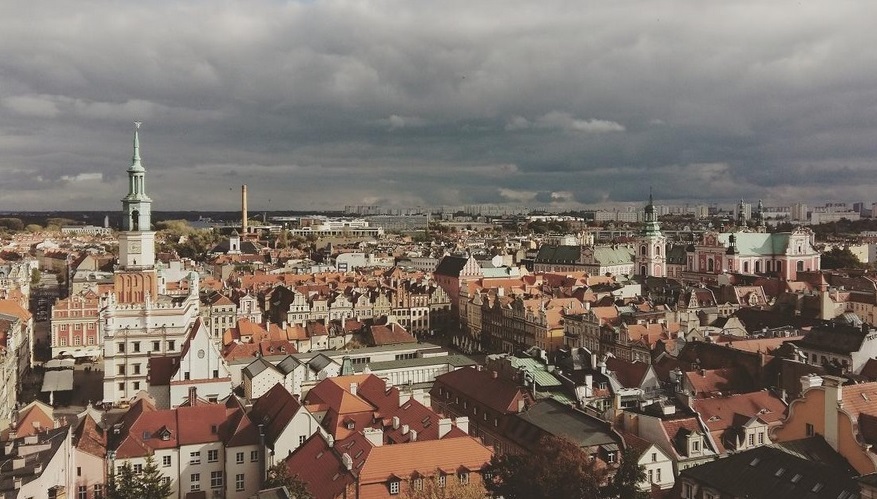 Fot. Tomasz Malinowski - grafika artykułu