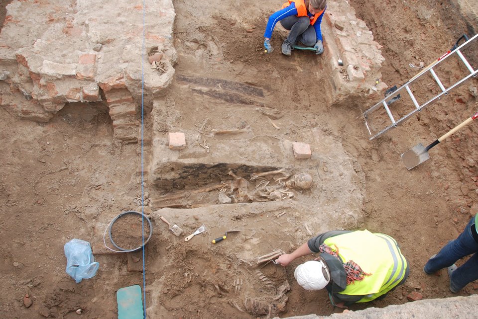 Fot. Projekt Kolegiata - grafika artykułu