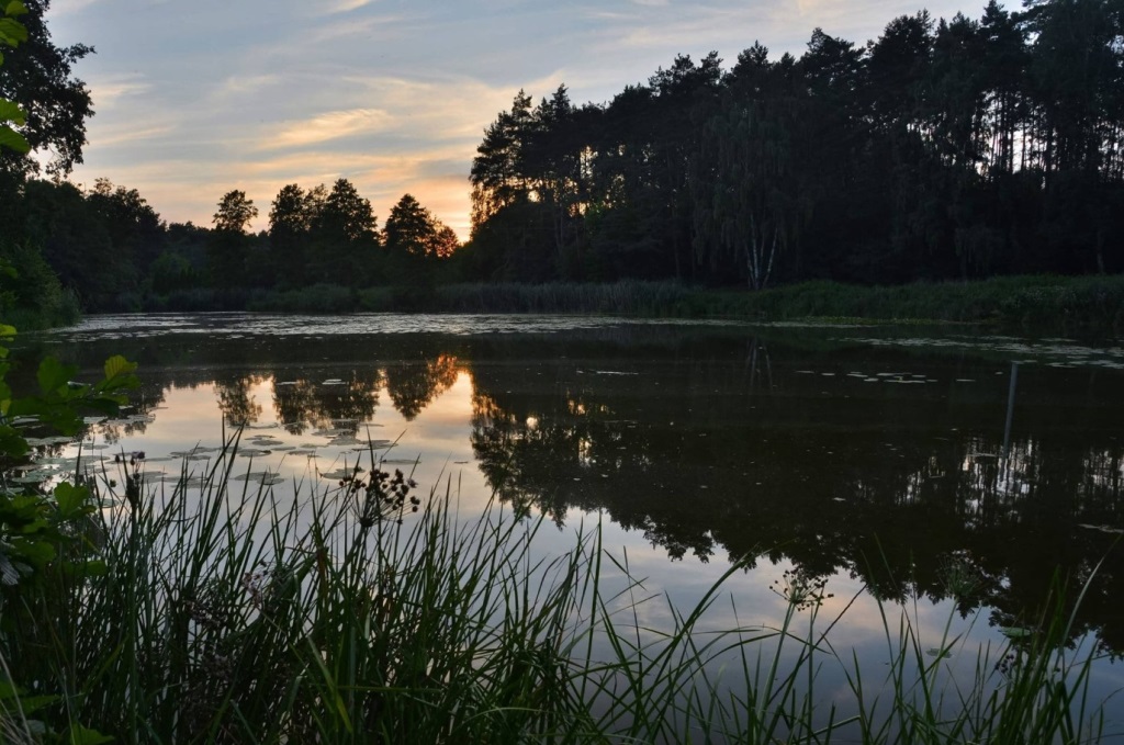 Fot. Rada Osiedla Antoninek-Zieliniec-Kobylepole - grafika artykułu