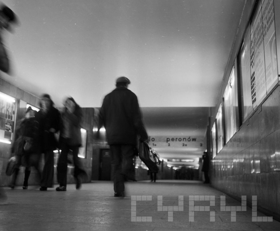 Fot. Stanisław Wiktor / cyryl.poznan.pl - grafika artykułu