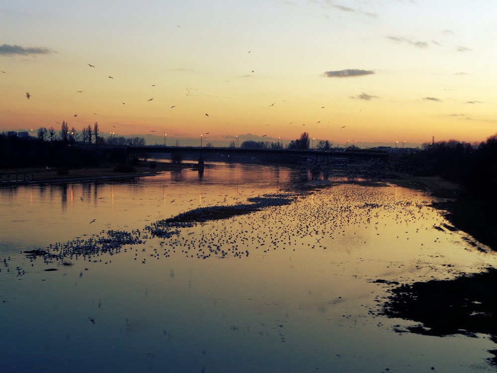 Fot. materiały organizatorów - grafika artykułu