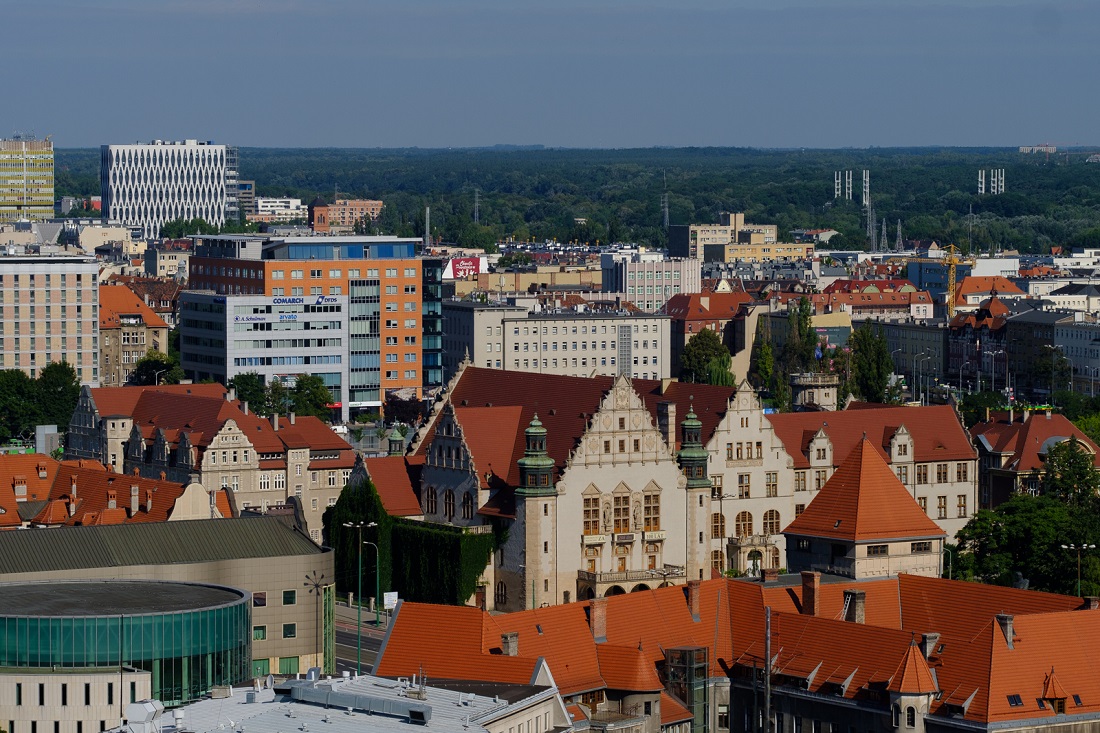 Fot. Adrian Wykrota - grafika artykułu