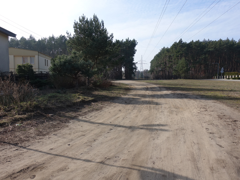 fot. ZDM - grafika artykułu