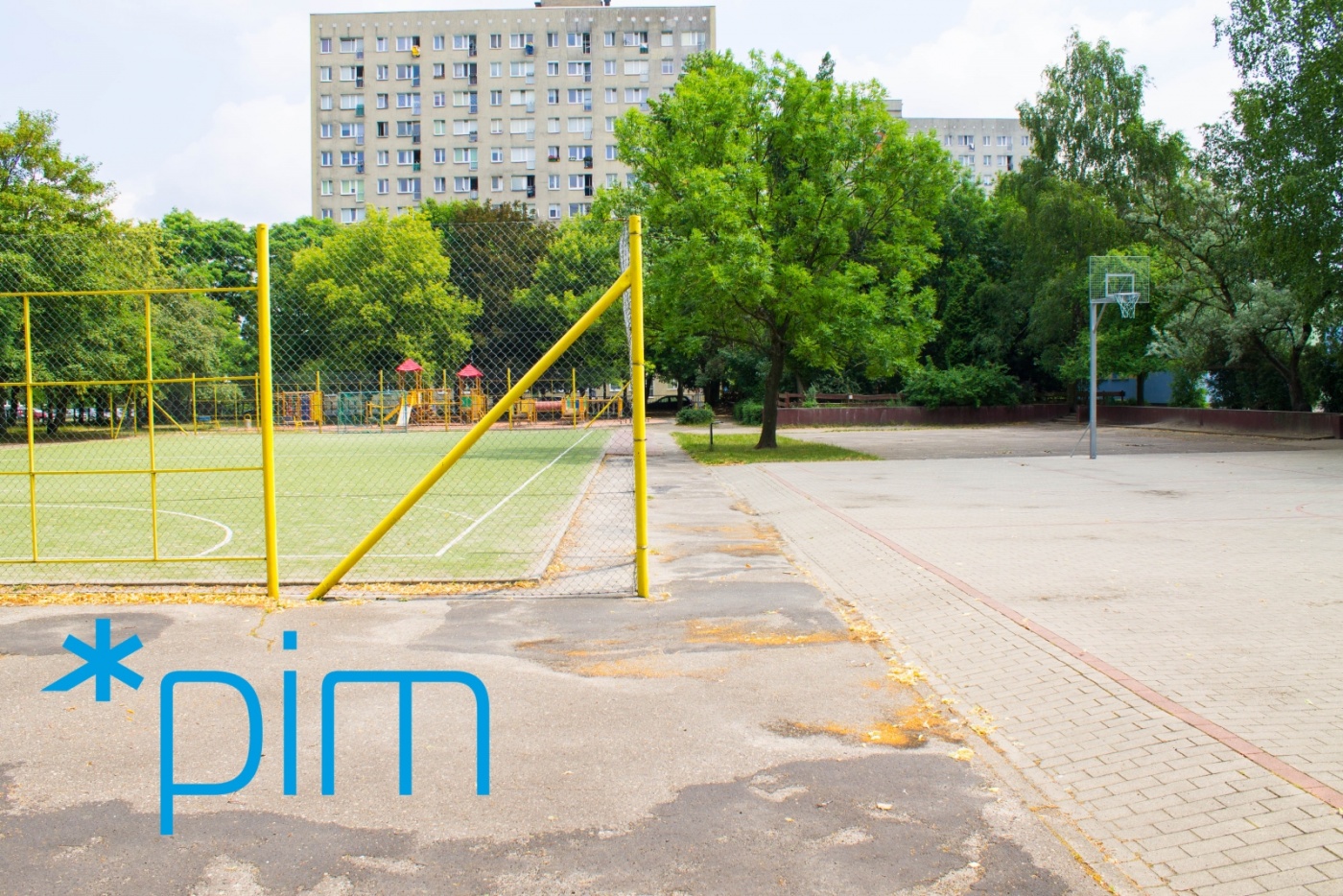 fot. PIM - grafika artykułu