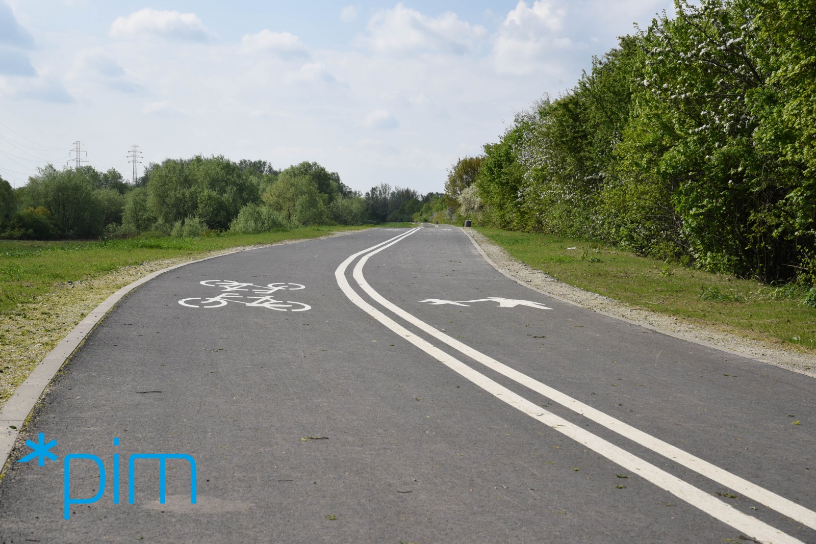 fot. PIM - grafika artykułu