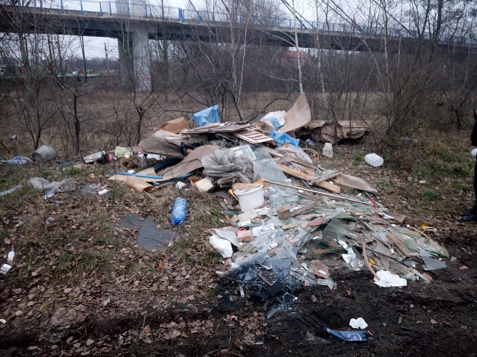 fot. Straż Miejska Miasta Poznania - grafika artykułu