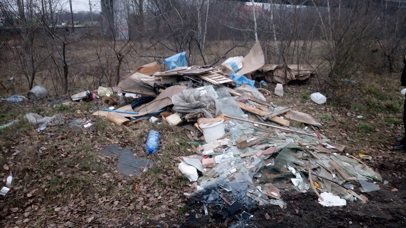 fot. Straż Miejska Miasta Poznania