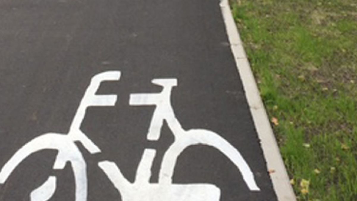 fot. ZDM - grafika artykułu