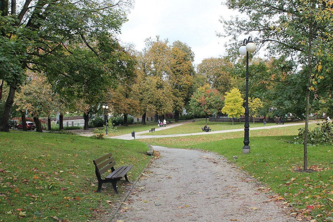 Fot. Tomasz Dworek, Rada Osiedla Stare Miasto - grafika artykułu