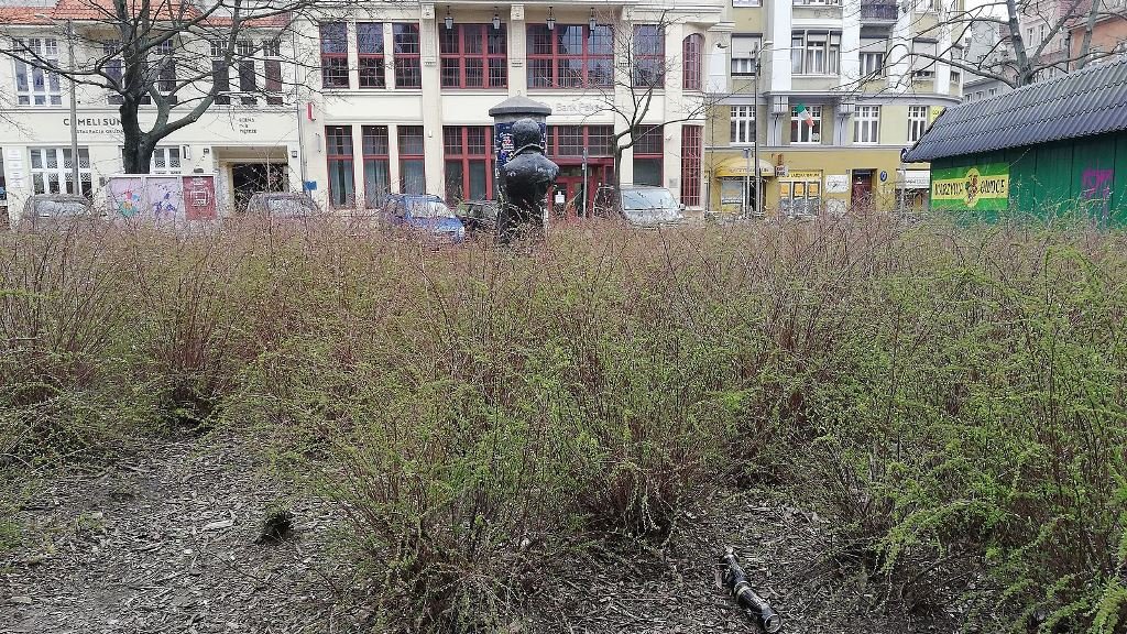 Fot. Osiedle Stare Miasto