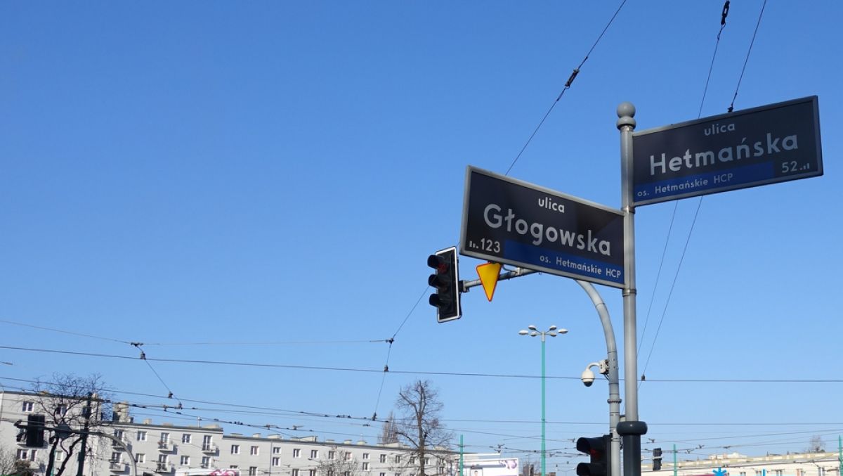 fot. ZDM - grafika artykułu