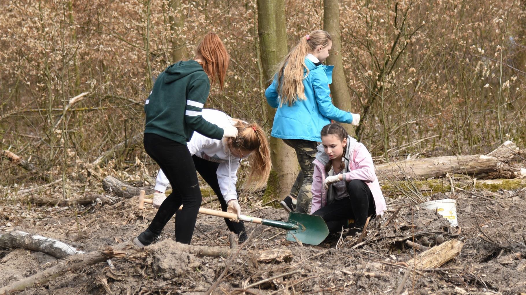fot. Poznan.pl - grafika artykułu