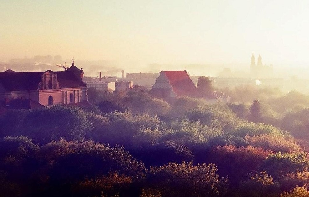 Fot. Urząd Miasta Poznania - grafika artykułu