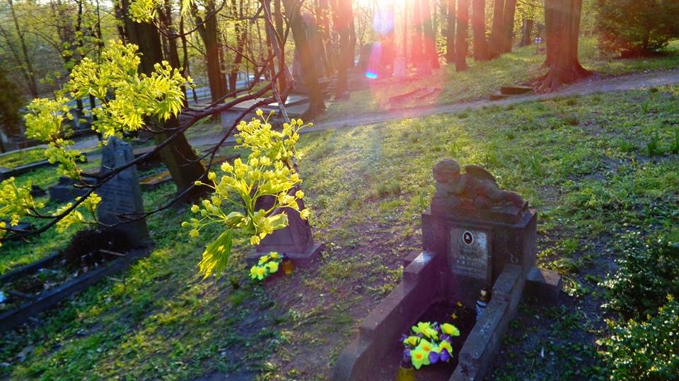Na cmentarzu pochowano wiele dzieci. Jeszcze 15 lat temu można było zidentyfikować kilkadziesiąt grobów dziecięcych. Dziś zostało ich zaledwie kilka, m.in. grób Franusia Mądrego zmarłego w l. 30 XX w., fot. Adam Suwart