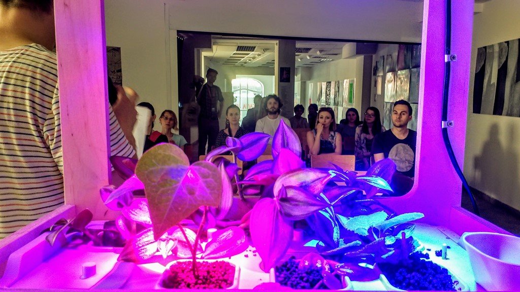 Fot. materiały organizatorów