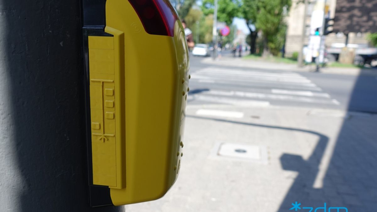 fot. ZDM - grafika artykułu