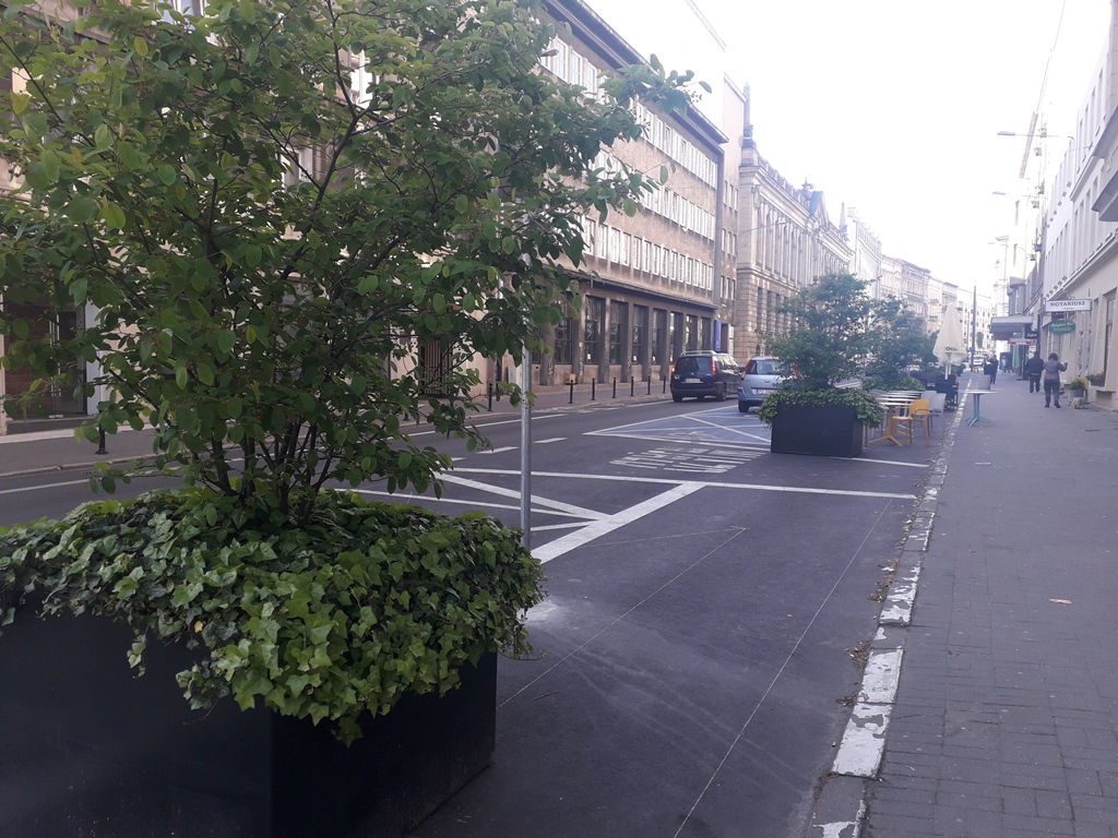 Fot. Mateusz Malinowski - grafika artykułu