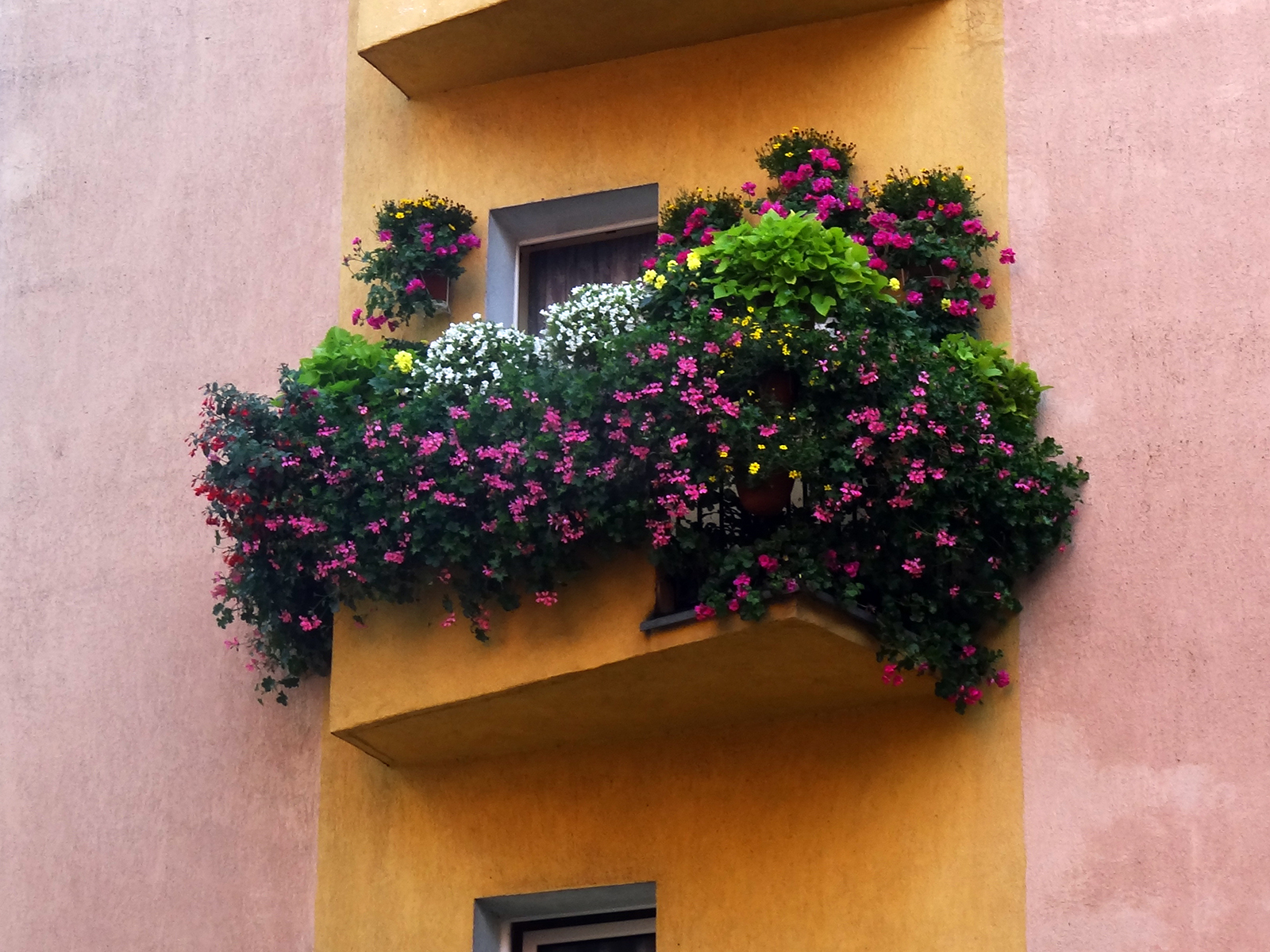 fot. Poznan.pl - grafika artykułu