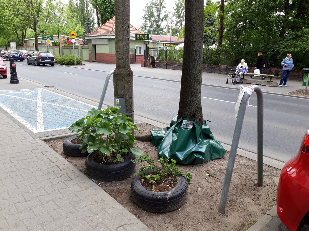 Fot. Rada Osiedla Wilda - grafika artykułu