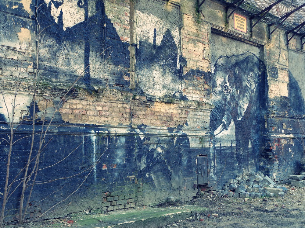 Przy ul. Łaziennej zachował się w złym stanie jeden z dużych domów czynszowych. Ze wzniesionej w stylu neoklasycznym monumentalnej kamienicy wykwaterowano przed wieloma laty lokatorów. - grafika artykułu