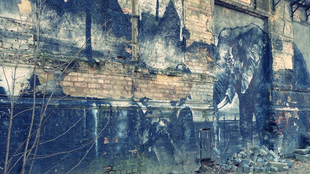 Przy ul. Łaziennej zachował się w złym stanie jeden z dużych domów czynszowych. Ze wzniesionej w stylu neoklasycznym monumentalnej kamienicy wykwaterowano przed wieloma laty lokatorów.