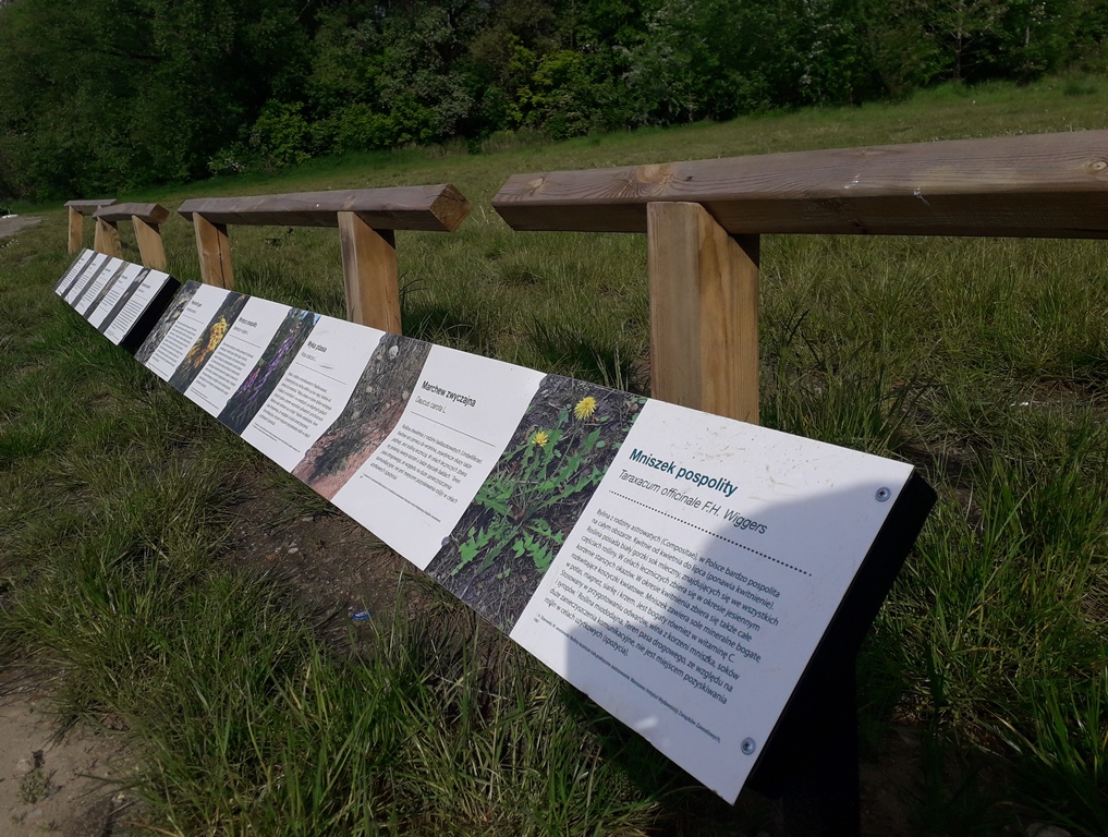 Fot. Mateusz Malinowski - grafika artykułu