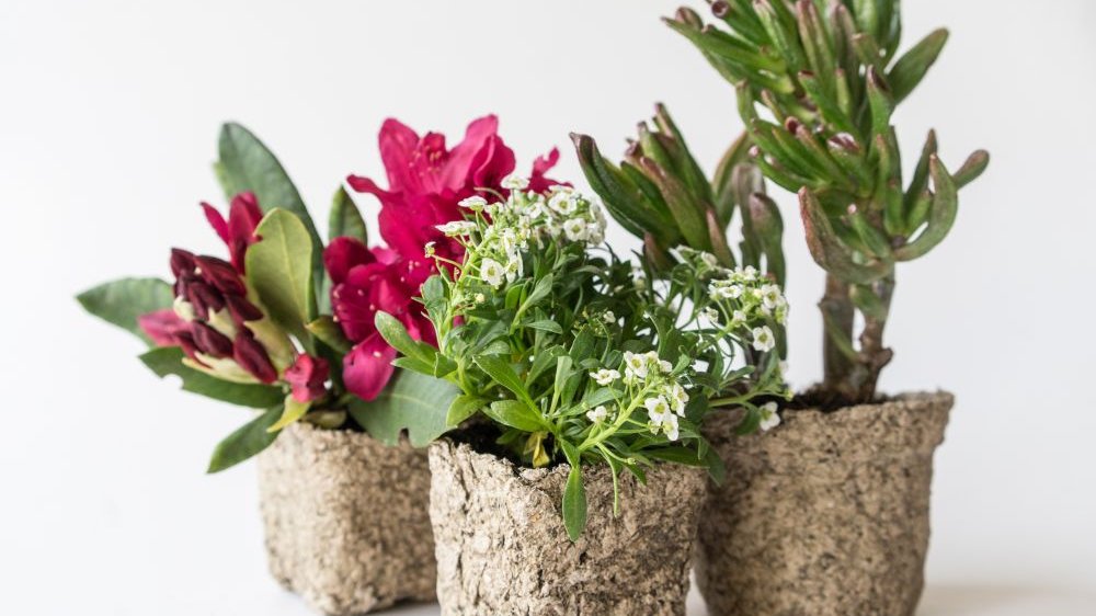 Poznań Design Festiwal 2019, 10-19.05, na zdjęciu: bio-osłonka z tegorocznej wystawy, fot. materiały prasowe