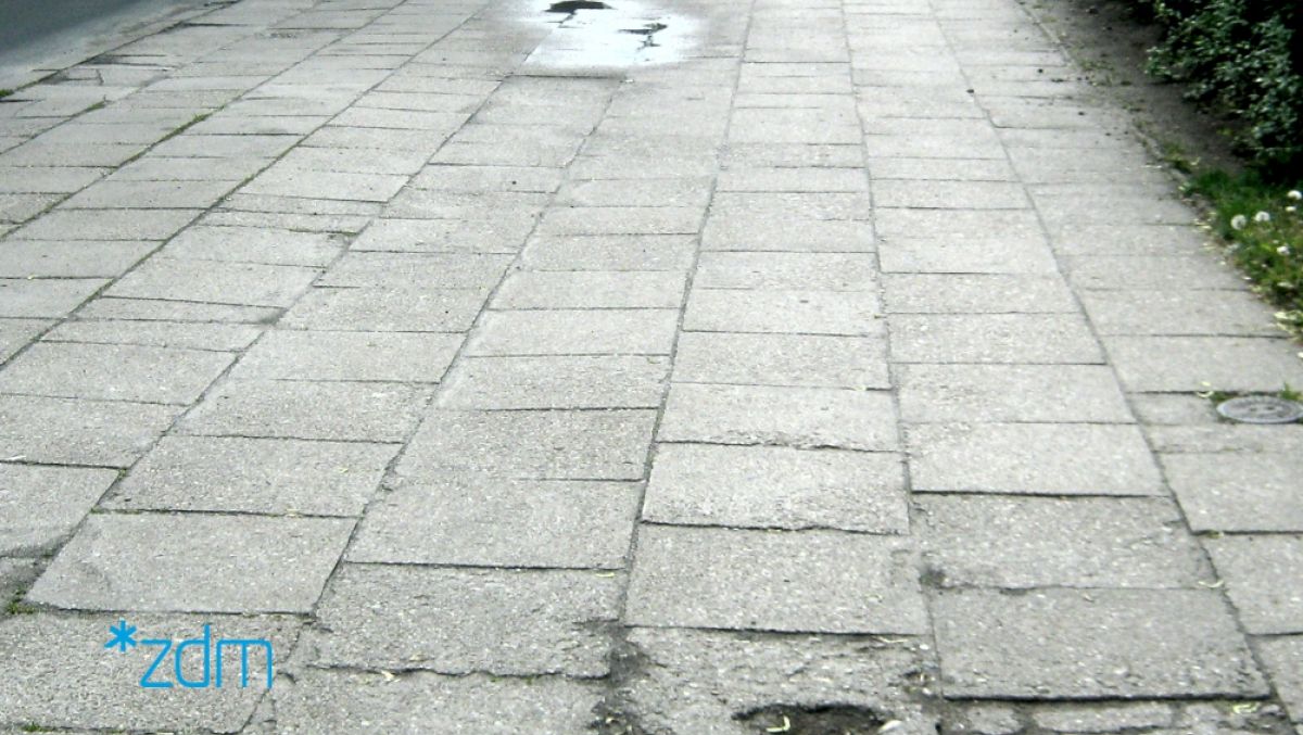 fot. ZDM - grafika artykułu