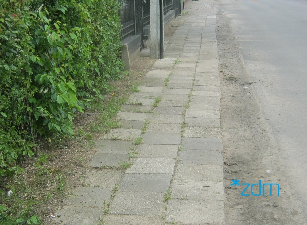 fot. ZDM - grafika artykułu