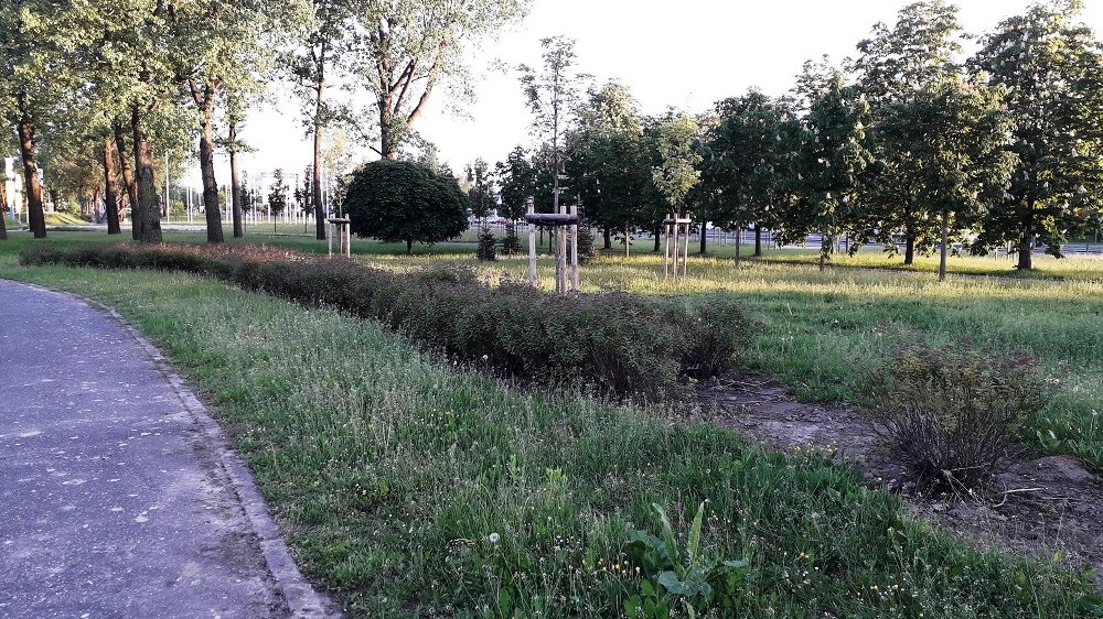 Skwer nad Maltą na nosić nazwę "4 Czerwca 1989 r.", fot. M. Malinowski