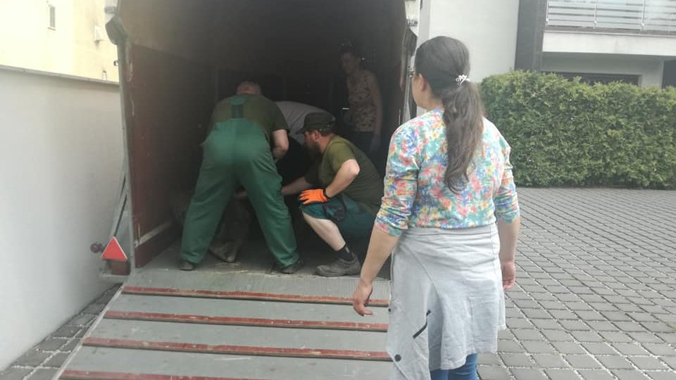 Fot. Straż Miejska Miasta Poznania