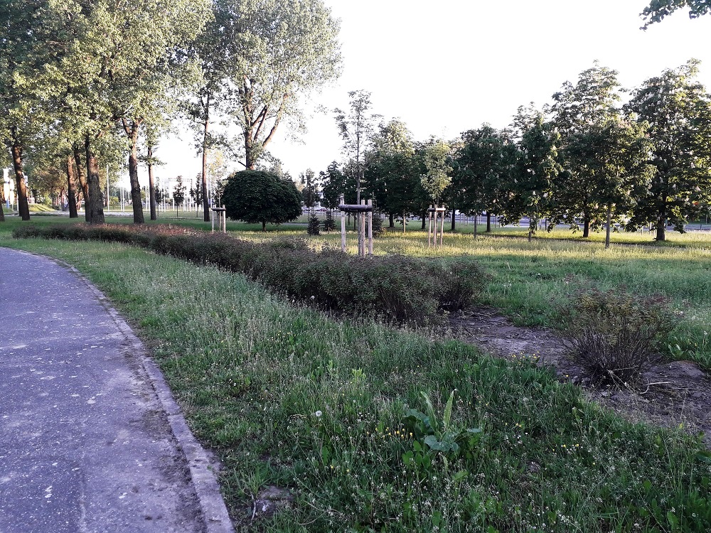 Komisja Kultury i Nauki pozytywnie zaopiniowała nadanie nazwy 4 Czerwca 1989 r. skwerowi nad Maltą - grafika artykułu