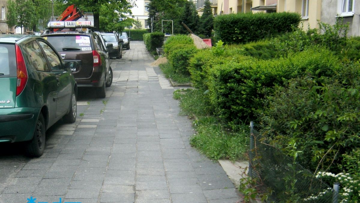 fot. ZDM - grafika artykułu