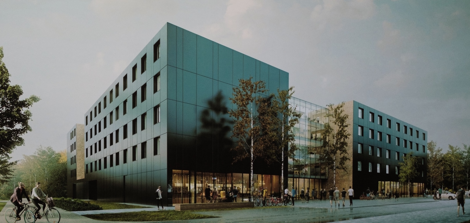 fot. Adrian Wykrota - grafika artykułu