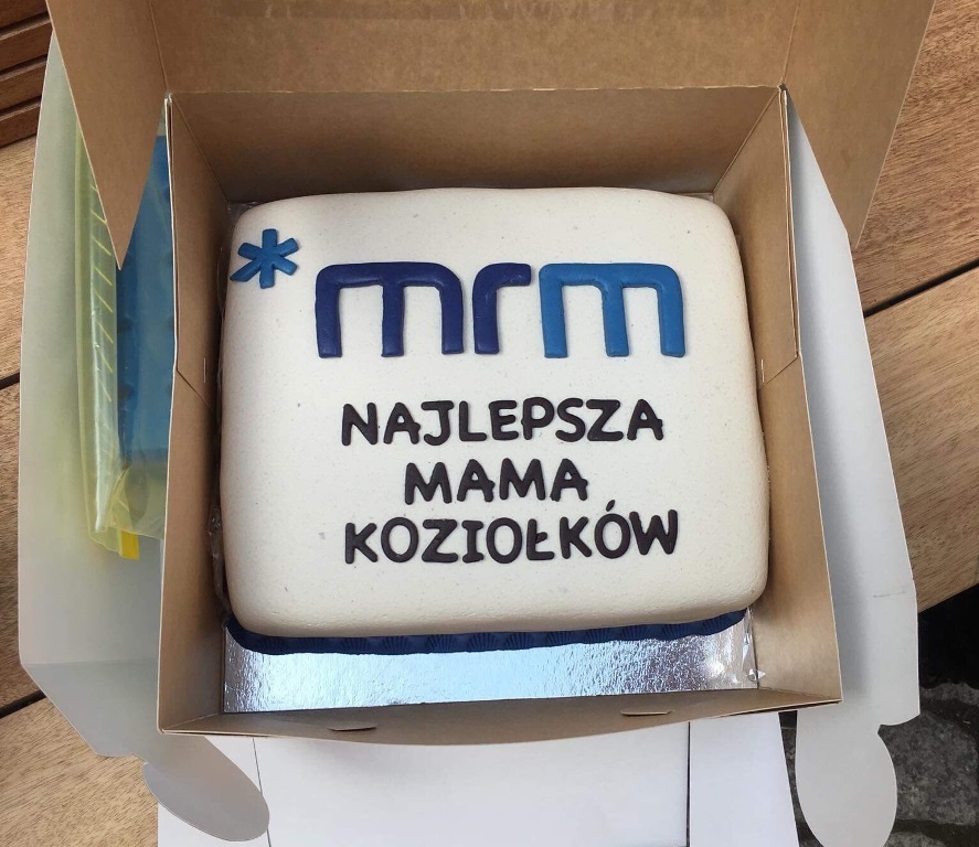 Fot. Młodzieżowa Rada Miasta Poznania - grafika artykułu