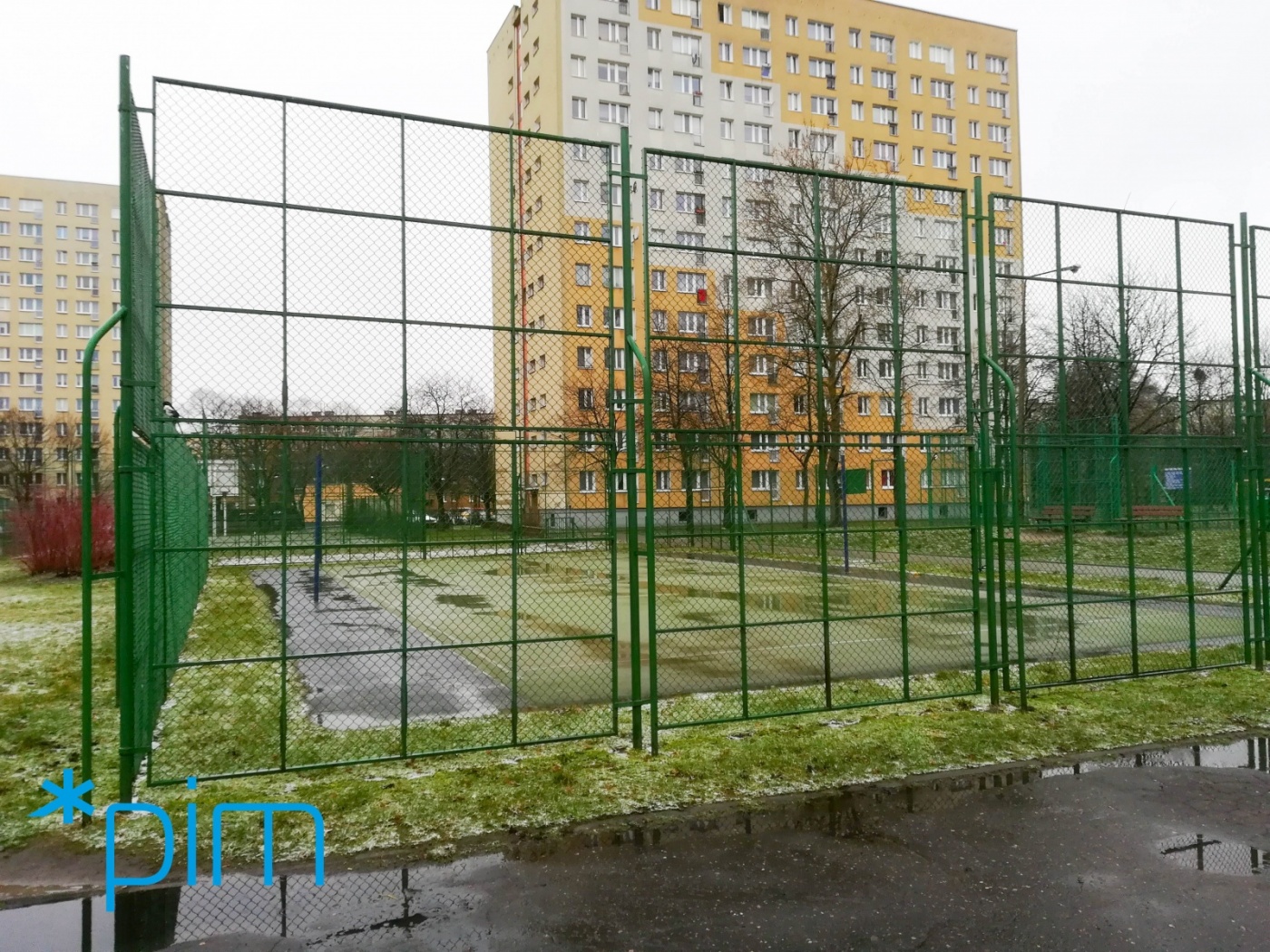 fot. PIM - grafika artykułu