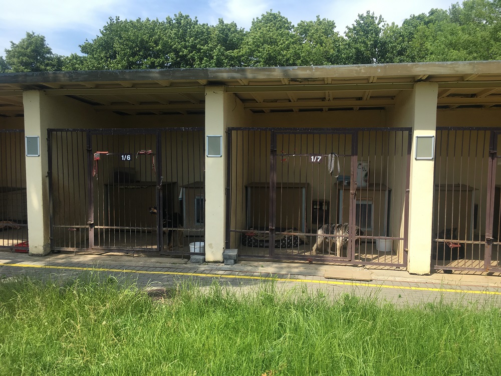 Fot. Beata Szeszuła - grafika artykułu