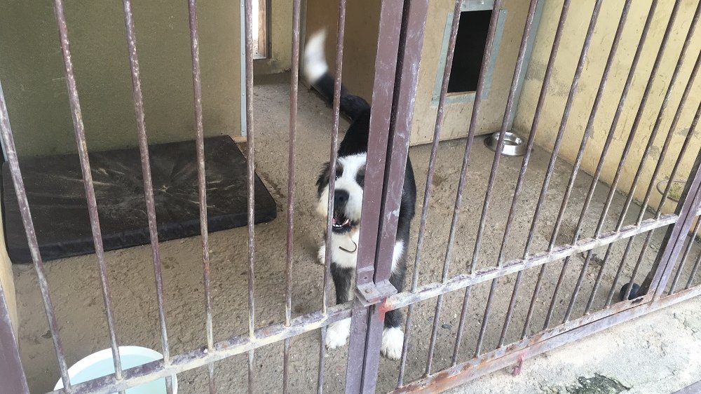 Fot. Beata Szeszuła