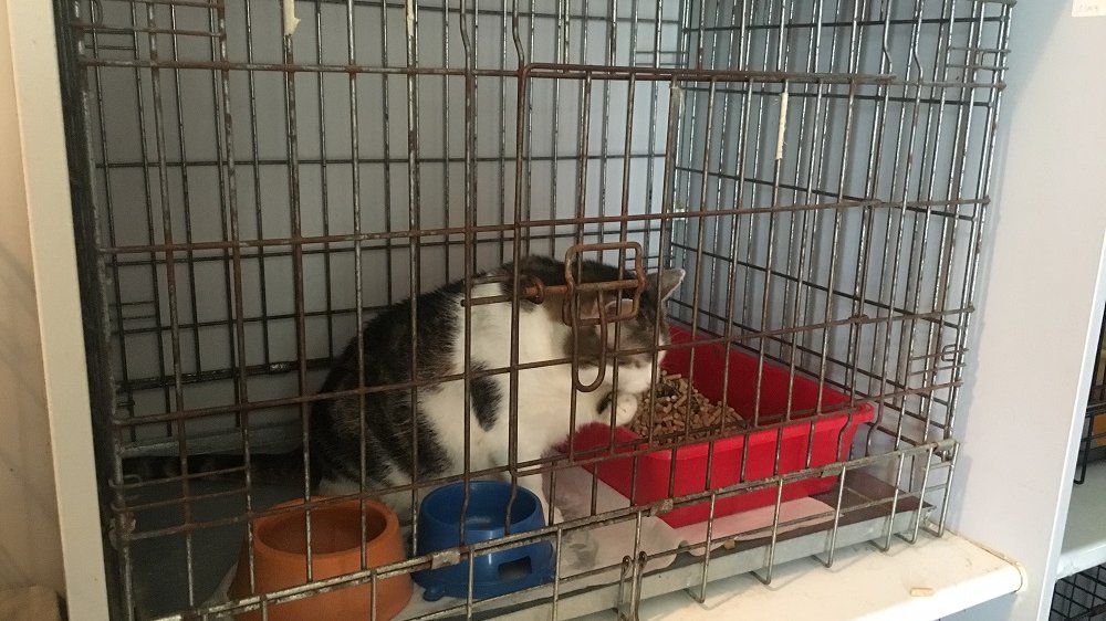 Fot. Beata Szeszuła