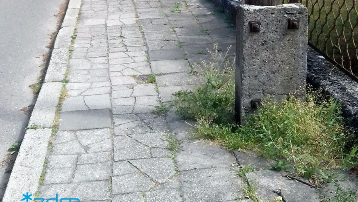 fot. ZDM - grafika artykułu