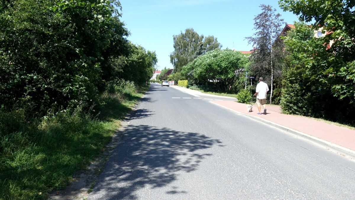 fot. ZDM - grafika artykułu