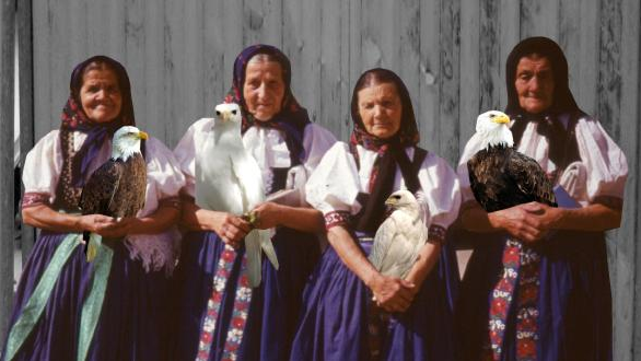 Muzyczny finał festiwalu Malta - koncert "Operetta! Żyjesz w Matrixie" - 29.06, g. 21, działka przy ul. Skośna/Św. Marcin