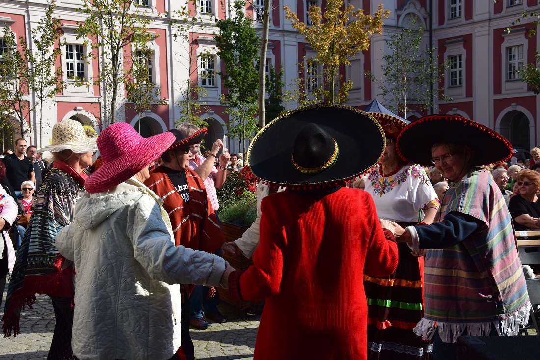 Fot. Miejska Rada Seniorów - grafika artykułu