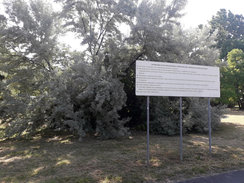 Użytek ekologiczny "Traszki Ratajskie" - grafika artykułu